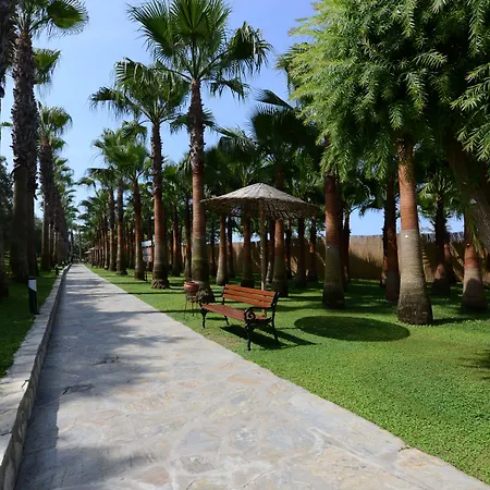 Miramare - Ultra Hotel Side